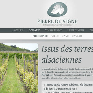 Pierre de vigne